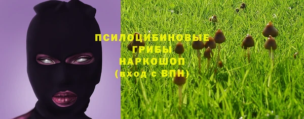 прущие грибы Алексеевка
