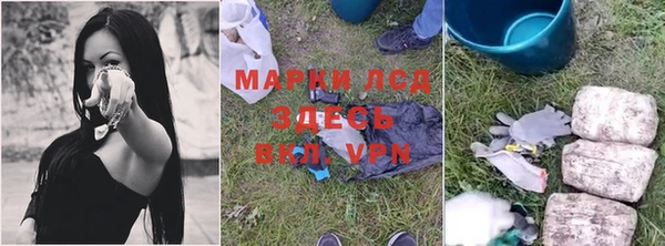 прущие грибы Алексеевка