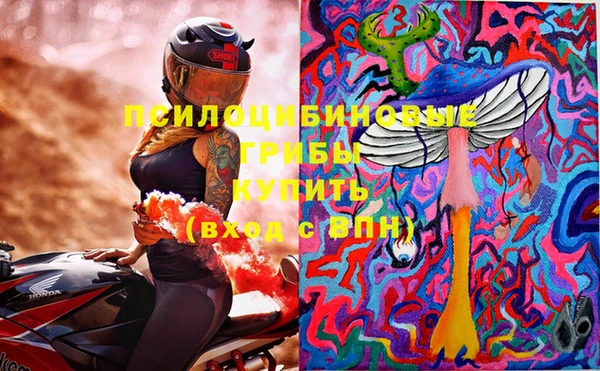 прущие грибы Алексеевка