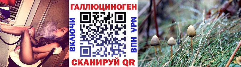 Псилоцибиновые грибы мицелий  купить  сайты  Алупка 